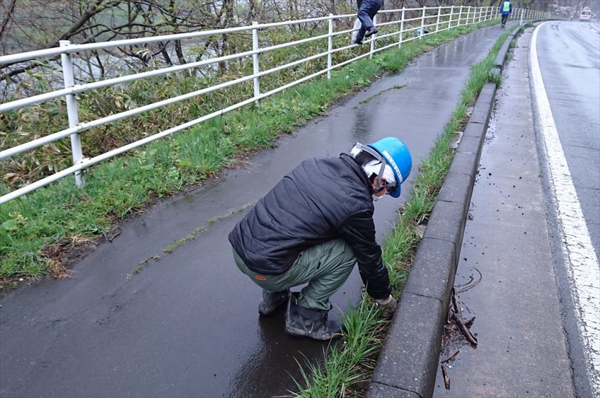 道路清掃ボランティア参加風景